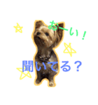 ミシェル＆ジェシー（個別スタンプ：4）