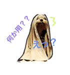 ミシェル＆ジェシー（個別スタンプ：5）