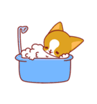 Chotindog（個別スタンプ：31）