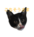 小五郎（個別スタンプ：4）