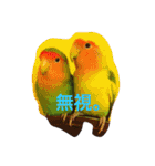 ぴよれもんおり（個別スタンプ：1）