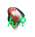 ぴよれもんおり（個別スタンプ：3）