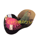 ぴよれもんおり（個別スタンプ：4）