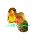 ぴよれもんおり（個別スタンプ：5）