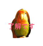 ぴよれもんおり（個別スタンプ：6）