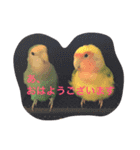 ぴよれもんおり（個別スタンプ：13）