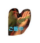 ぴよれもんおり（個別スタンプ：15）