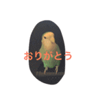 ぴよれもんおり（個別スタンプ：17）