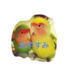 ぴよれもんおり（個別スタンプ：18）