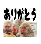 LA FABRIQUE（個別スタンプ：7）
