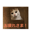 ジャム チョコ ラテ メイ（個別スタンプ：2）