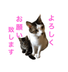 ジャム チョコ ラテ メイ（個別スタンプ：4）