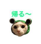 ジャム チョコ ラテ メイ（個別スタンプ：6）
