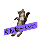 ジャム チョコ ラテ メイ（個別スタンプ：9）