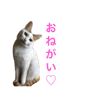 ジャム チョコ ラテ メイ（個別スタンプ：11）