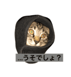 ジャム チョコ ラテ メイ（個別スタンプ：18）
