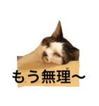 ジャム チョコ ラテ メイ（個別スタンプ：22）