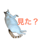 ジャム チョコ ラテ メイ（個別スタンプ：28）