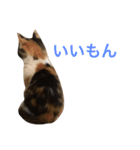 ジャム チョコ ラテ メイ（個別スタンプ：29）