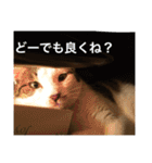 ジャム チョコ ラテ メイ（個別スタンプ：31）