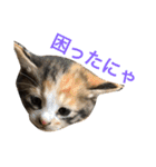 ジャム チョコ ラテ メイ（個別スタンプ：32）
