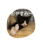 大吉とんだず（個別スタンプ：4）