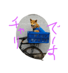 大吉とんだず（個別スタンプ：6）