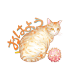 まやの目 猫のまやさん（個別スタンプ：3）