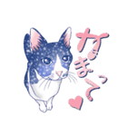 まやの目 猫のまやさん（個別スタンプ：7）