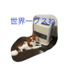 モモちゃんココちゃんの本音（個別スタンプ：16）