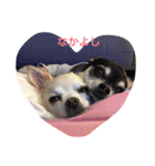 チワワのLuLu＆POLO（個別スタンプ：14）