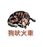 The dog and cat emoticons（個別スタンプ：2）