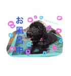 リボン＆ロク（個別スタンプ：2）