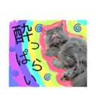 ブサカワmary（個別スタンプ：5）