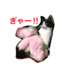 サブとはなことみっことちっこ（個別スタンプ：14）