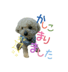 shimoya muck（個別スタンプ：15）