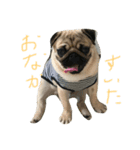 マロン侍（個別スタンプ：7）