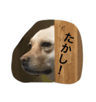 こむ（個別スタンプ：5）