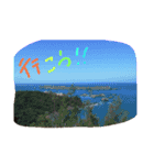 ダックス＆チワックス（個別スタンプ：16）