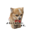 はうるん2（個別スタンプ：3）