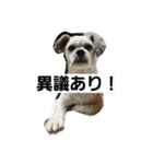 ハナモス（個別スタンプ：1）