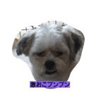 ハナモス（個別スタンプ：2）