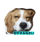 ハナモス（個別スタンプ：3）