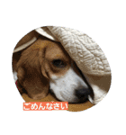ハナモス（個別スタンプ：7）