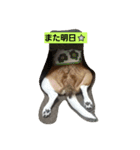 ハナモス（個別スタンプ：9）