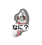ハナモス（個別スタンプ：13）
