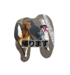 ハナモス（個別スタンプ：14）