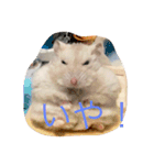 溢れるハムスター（個別スタンプ：4）