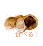 溢れるハムスター（個別スタンプ：9）