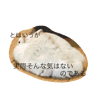溢れるハムスター（個別スタンプ：11）